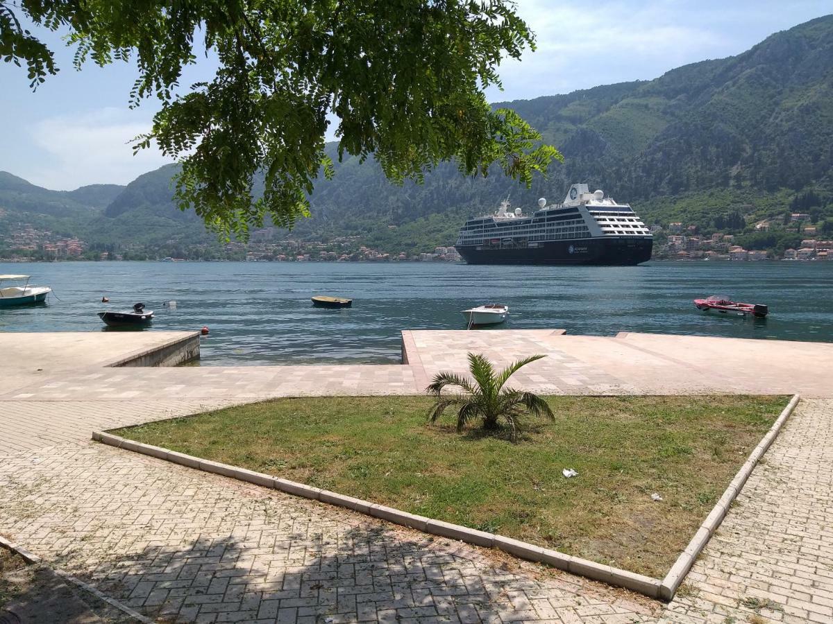 Apartment Nina Kotor Bagian luar foto